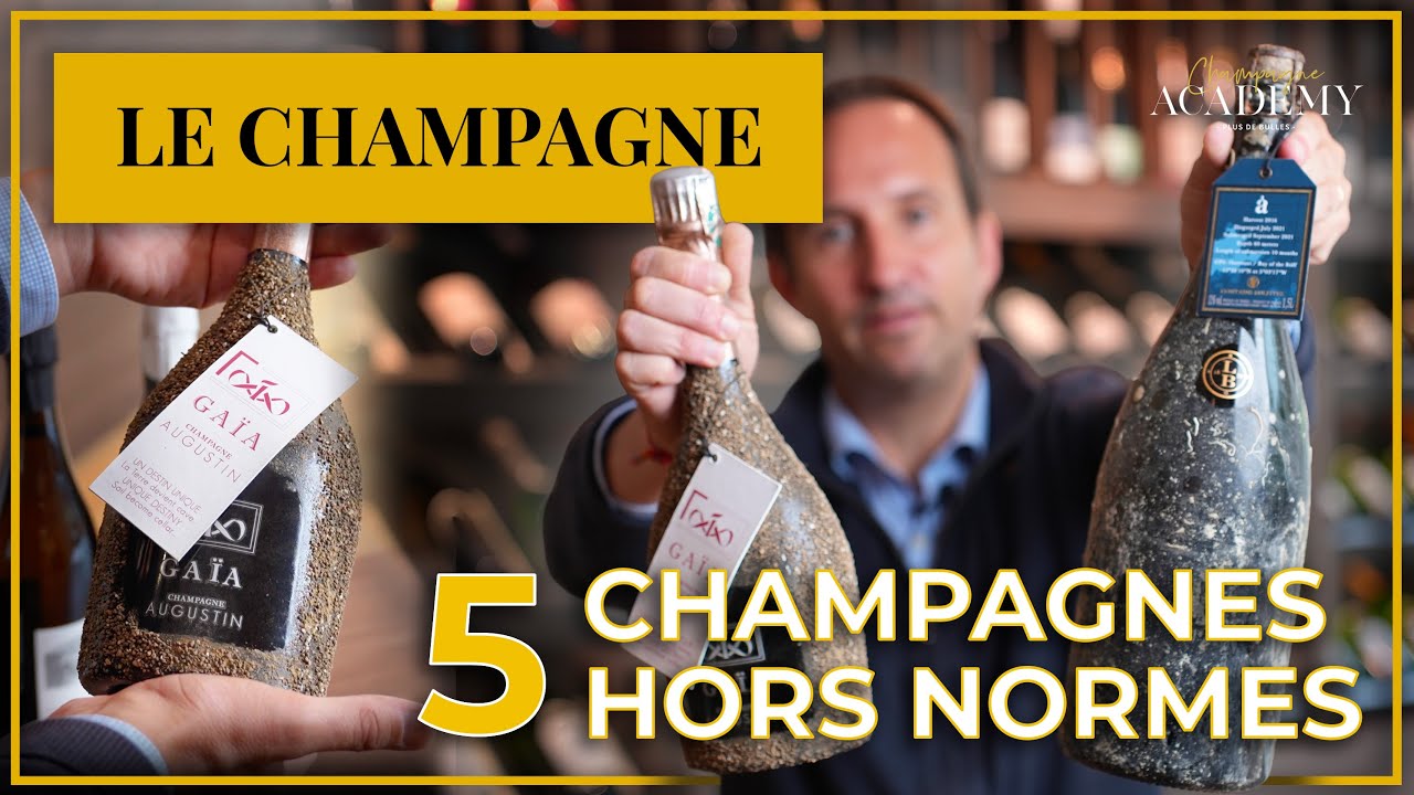 5 Champagnes Atypiques à Découvrir Absolument 🍾