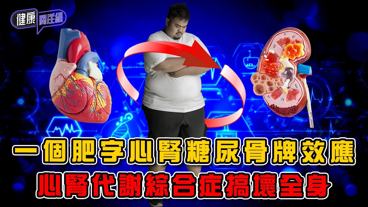 一個肥字心腎糖尿骨牌效應 心腎代謝綜合症搞壞全身 ｜ 健康關注組 ｜ EP434 ｜ 心腎代謝綜合症 ｜ 肥胖 ｜ 糖尿病 ｜ 心衰竭 ｜ 腎衰竭 ｜ 敖嘉年 ｜ 麥詩敏 ｜ HOY TV 77台