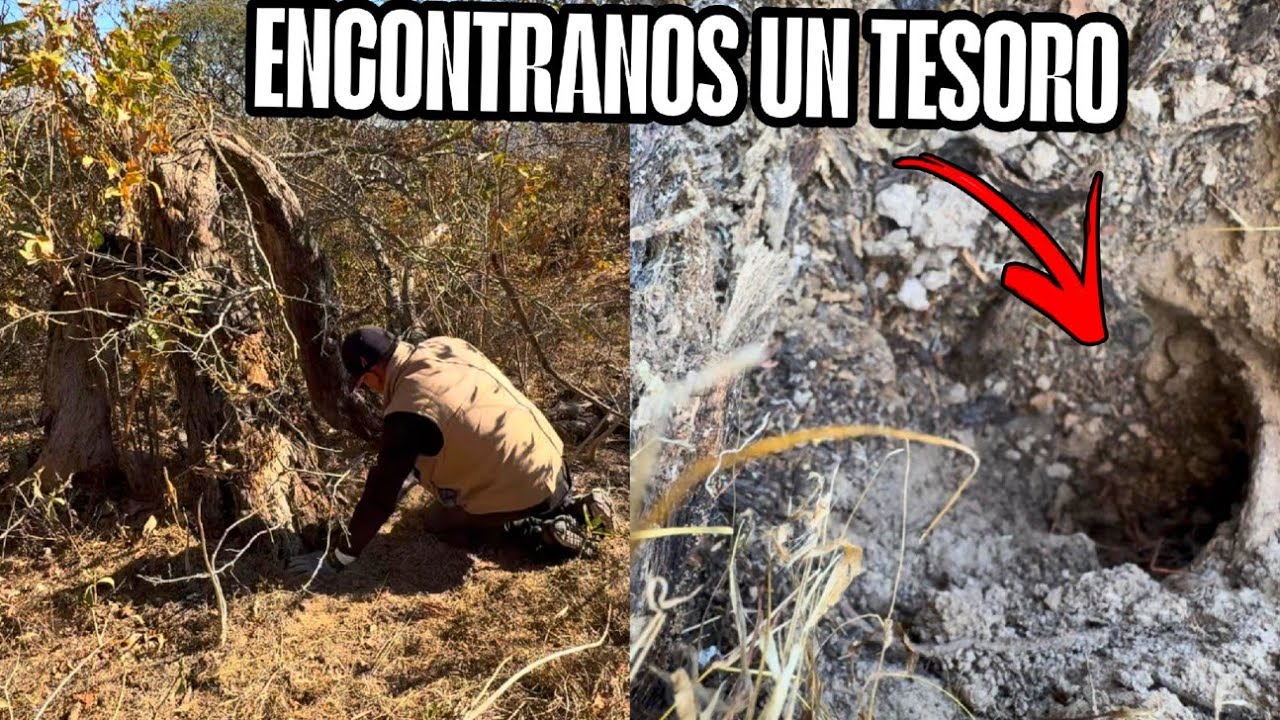 ENCONTRAMOS debajo de este arbol Un Cantaro Con mucho DINERO fue IMPRESIONANTE...