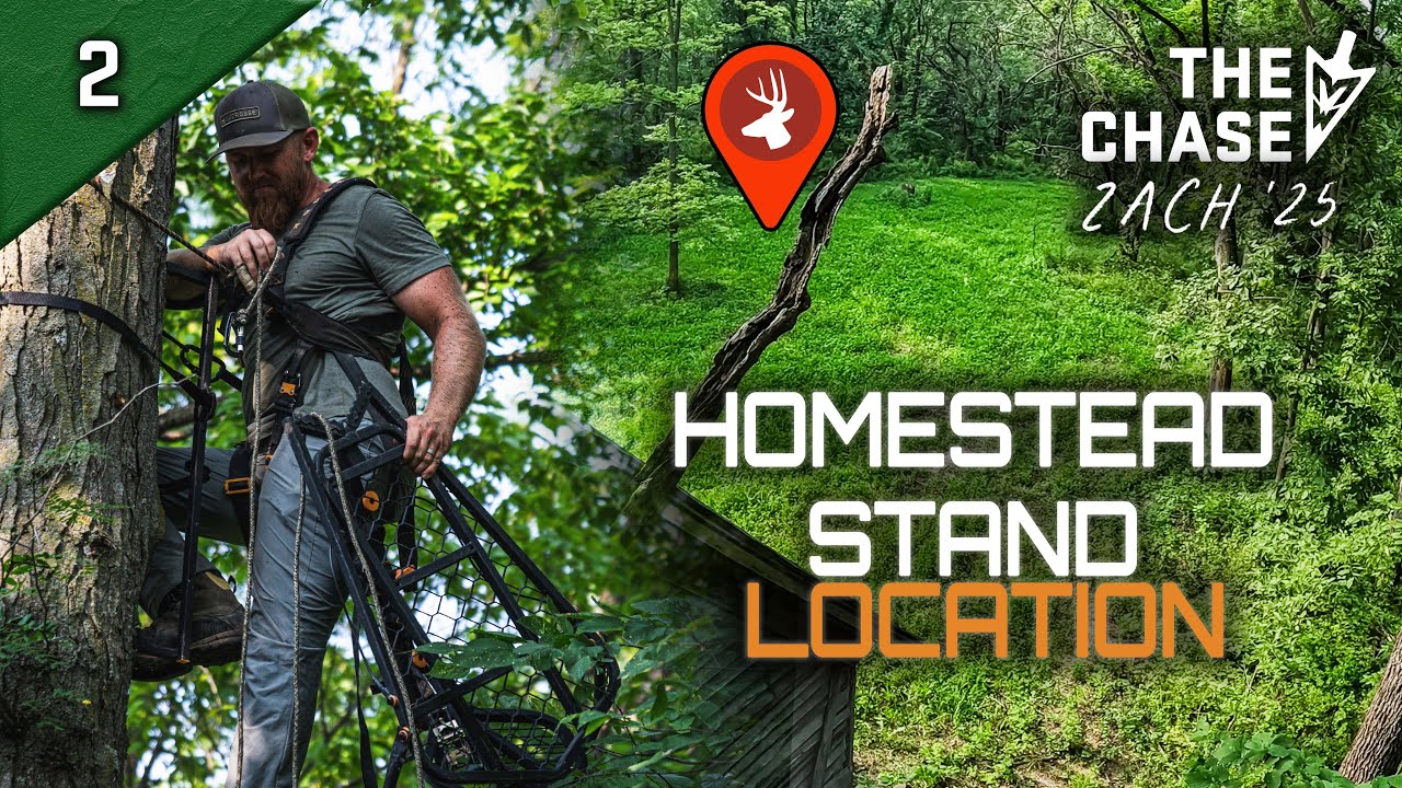 8-1-25: Zach Hangs His First (And FAVORITE) Tree Stand On The Homestead
