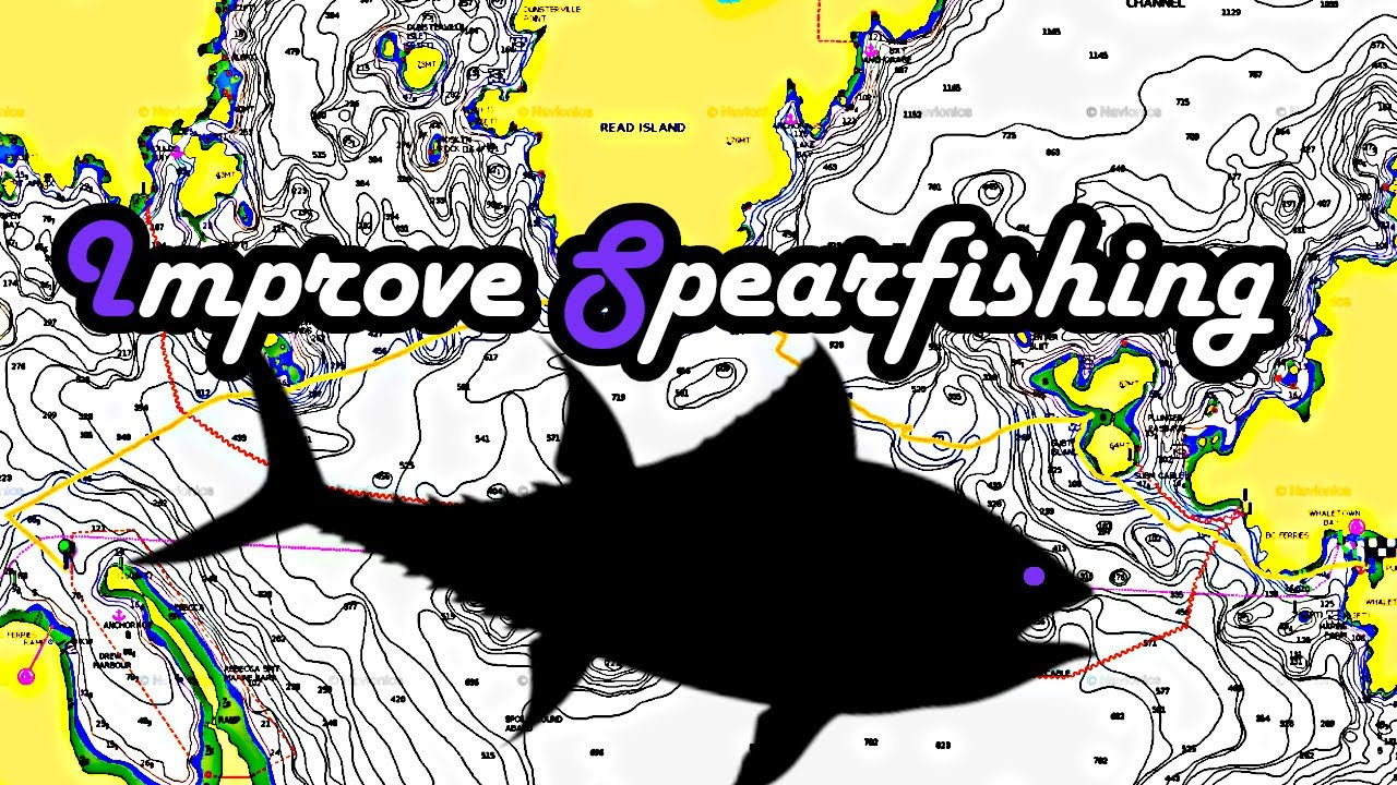 Spearfishing - Finding dive spots - Navionics - Free nautical chart