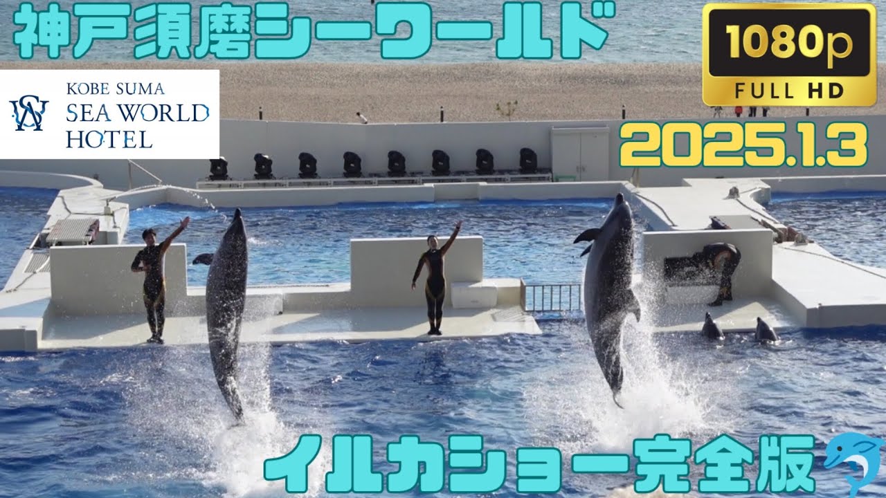 神戸須磨シーワールドのイルカショー完全版！(2025年1月3日撮影しました！)Kobe Suma Sea World dolphin show complete version