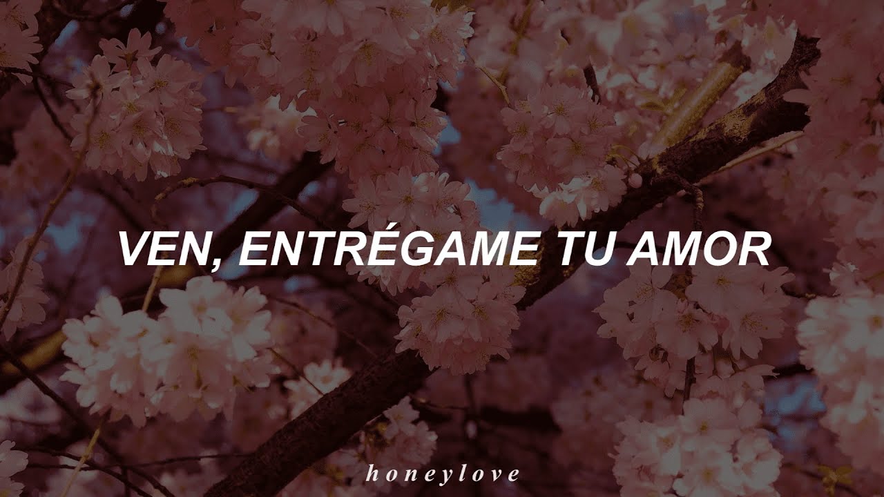 Alejandro Fernández - Si Tú Supieras // Letra