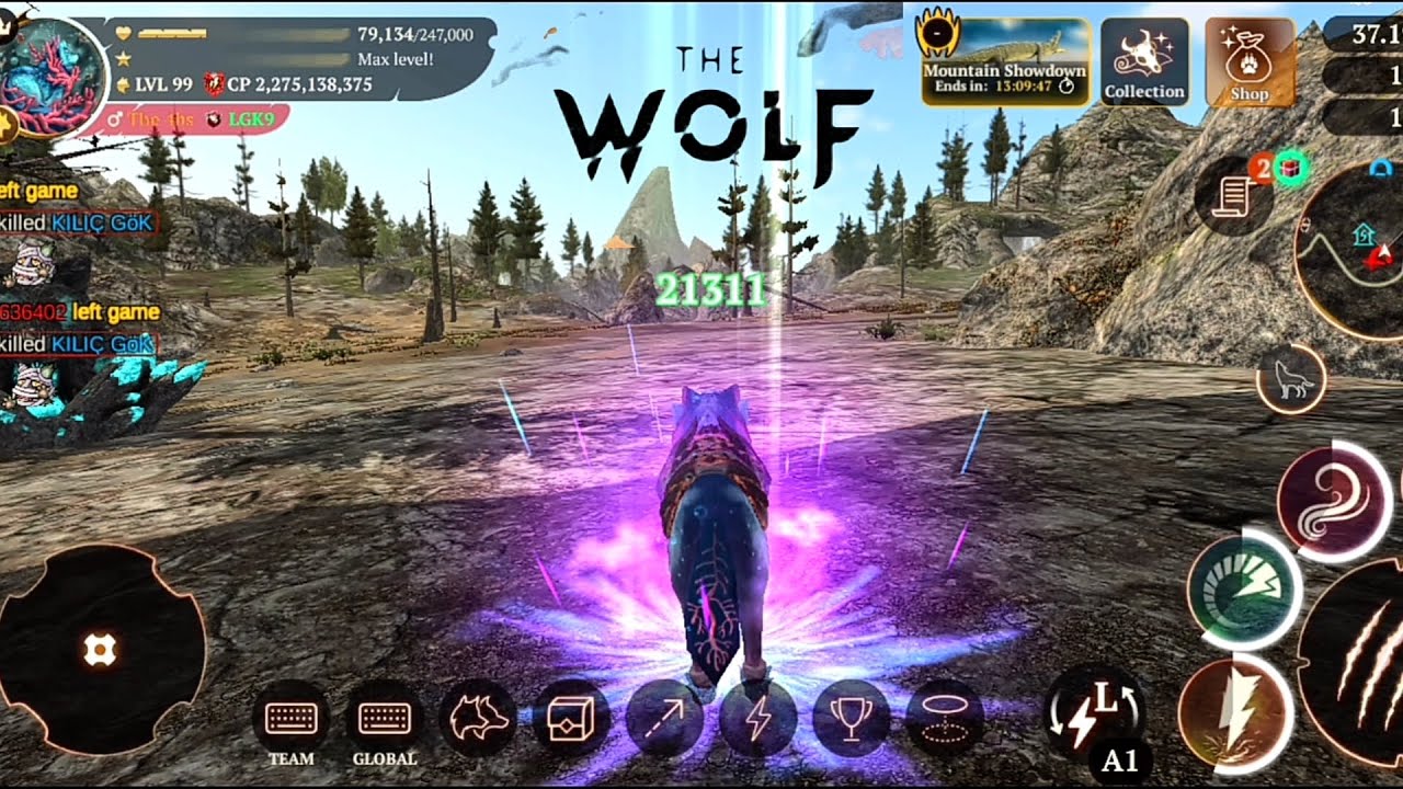 The wolf - Haven't played PVP in a while 😆❗