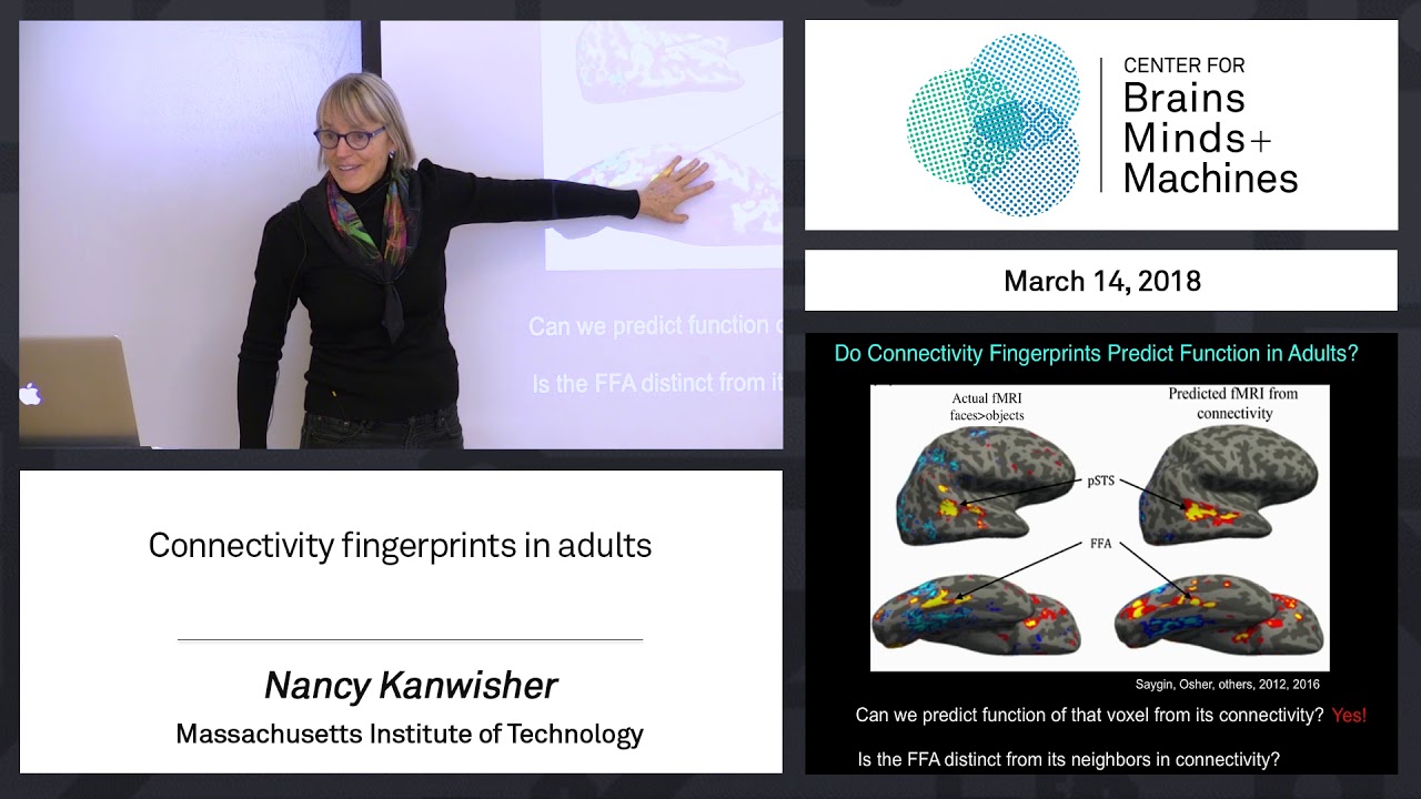 8.3 - Connectivity fingerprints in adults