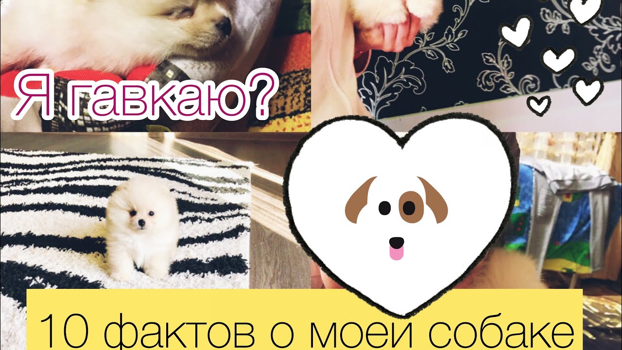 10 фактов обо мне/Tedd Be