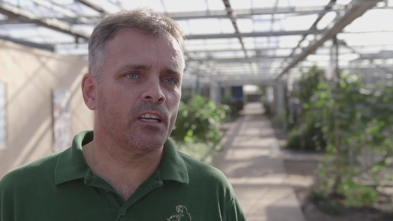 Op het werk: World of Birds Foundation