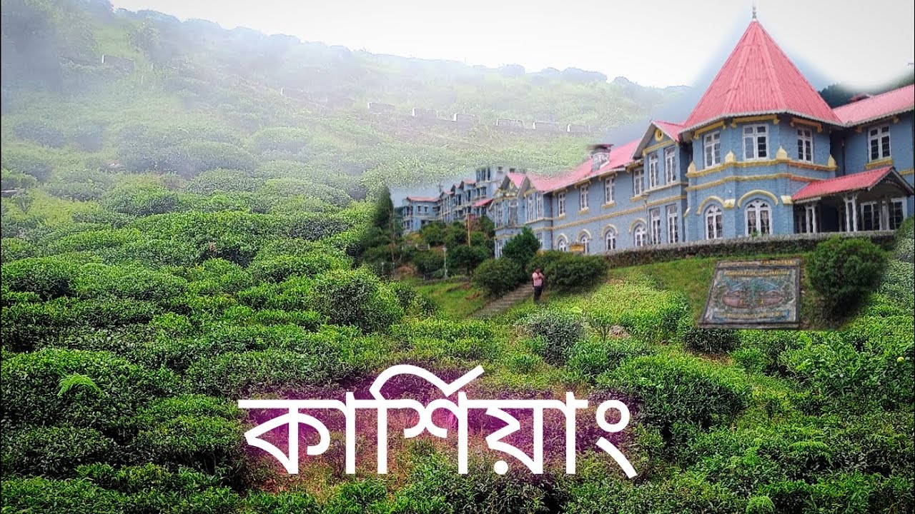 কার্শিয়াং ভ্রমণ/ Njp to Kurseong/ Kurseong tour  plan/ কার্শিয়াং ভ্রমণ গাইড/Kurseong sightseeing