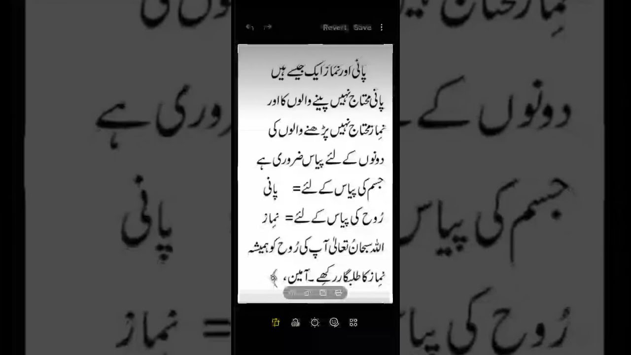 Islami Studio  is live