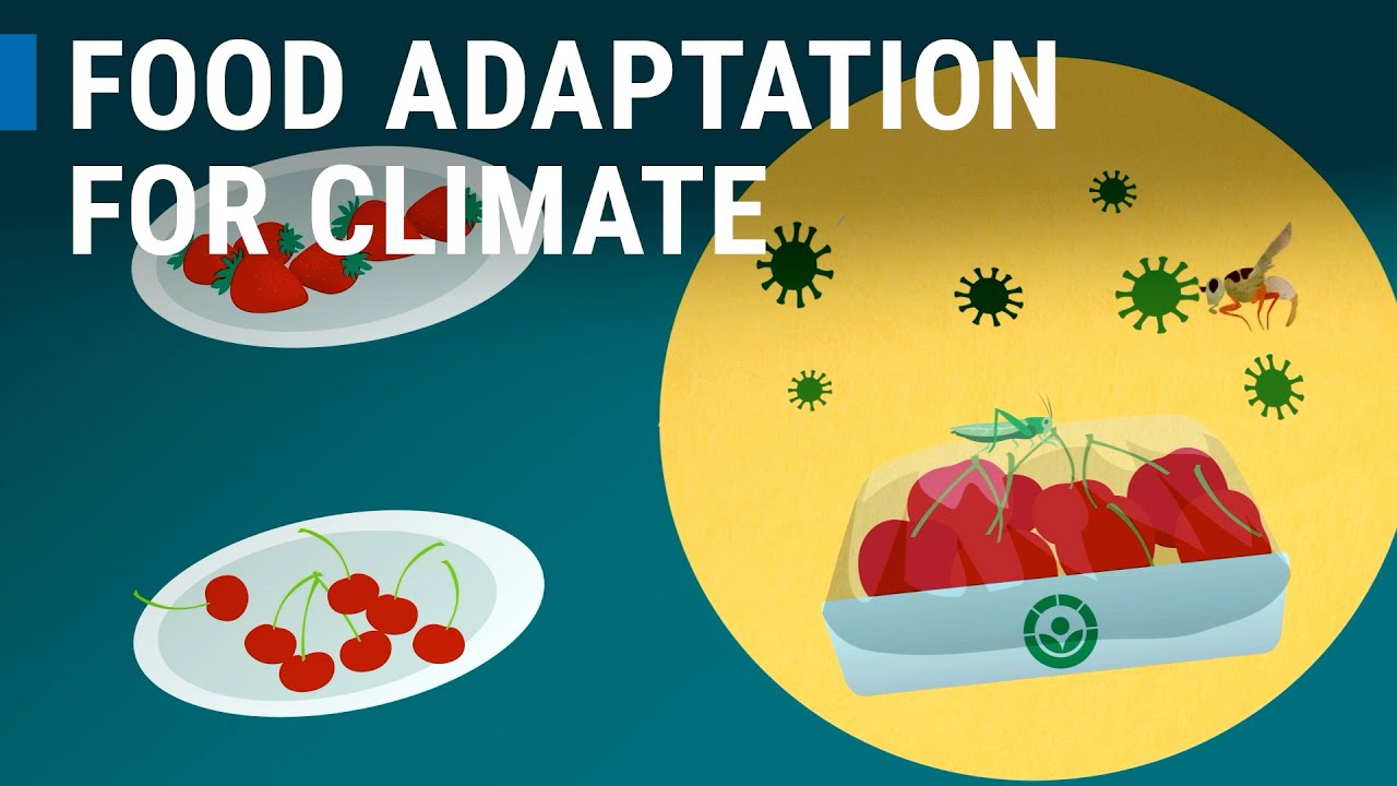 Food Irradiation and the Changing Climate
