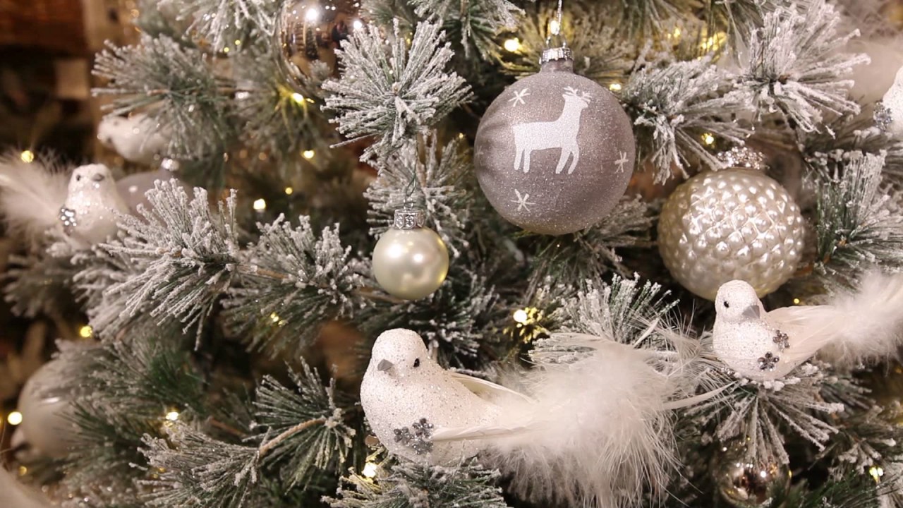 Boltze Showroom Teaser in voller Länge - Herbst/Winter 2017
