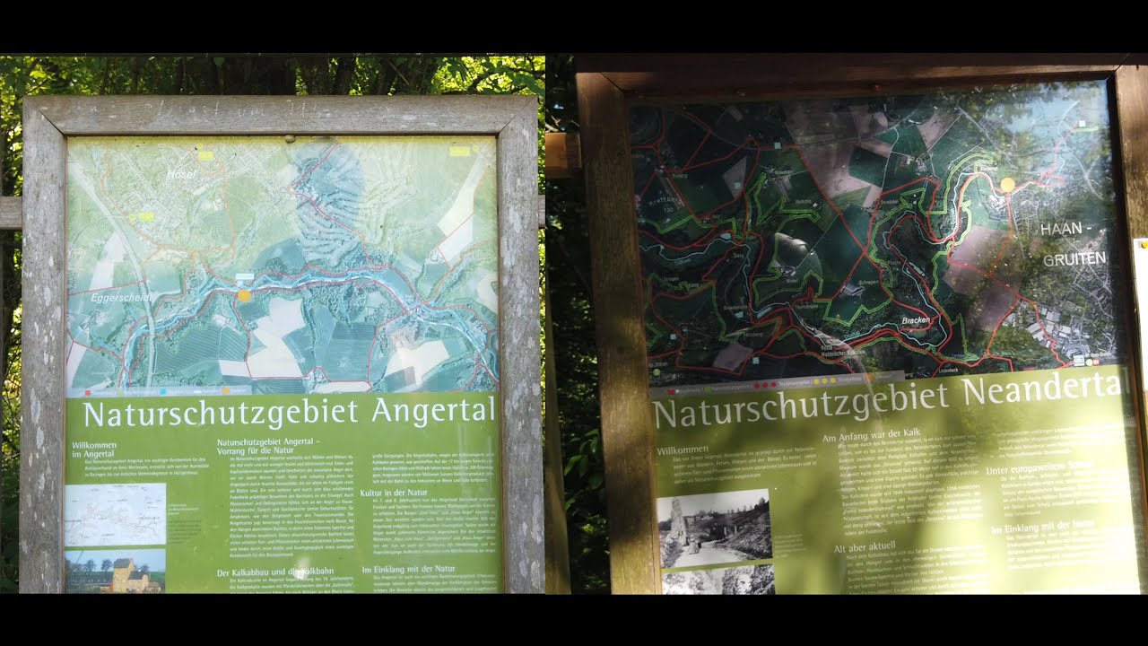 🚲 🇩🇪  RadTour  🇳🇱 🚲   ☀️ durch die Naturschutzgebiete Neandertal und Angertal ☀️
