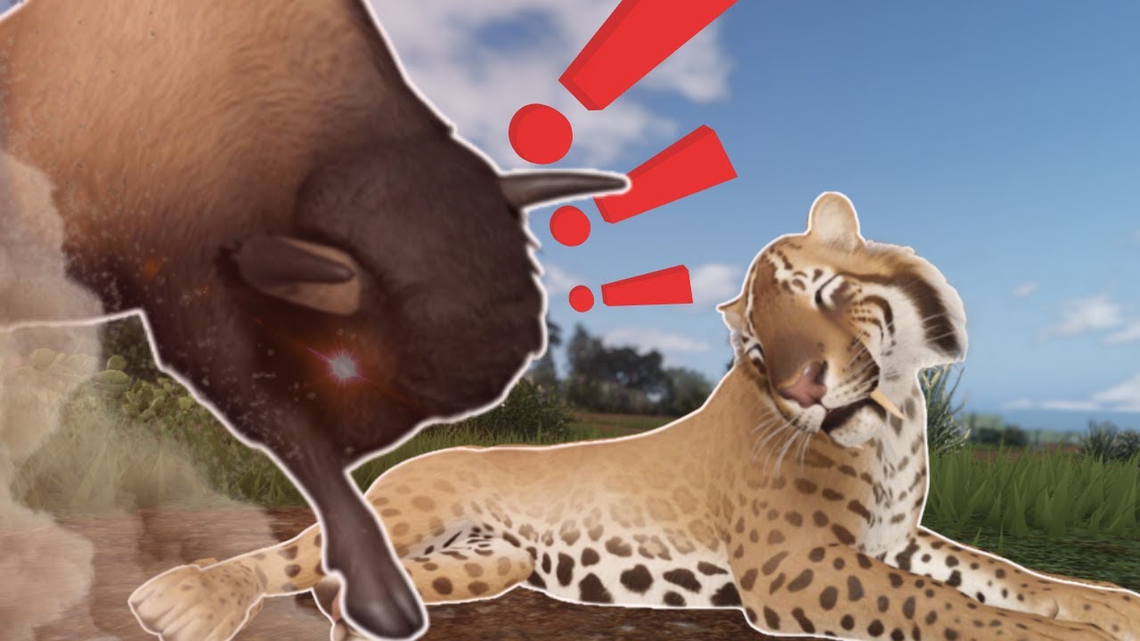Pouncing Bison, Hunting, and Surviving as a Solo Saber! | Ecos: La Brea [Roblox]