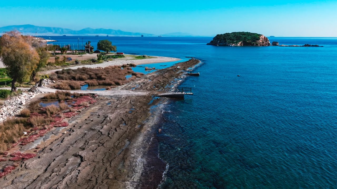 Peristeria _ isl Salamina