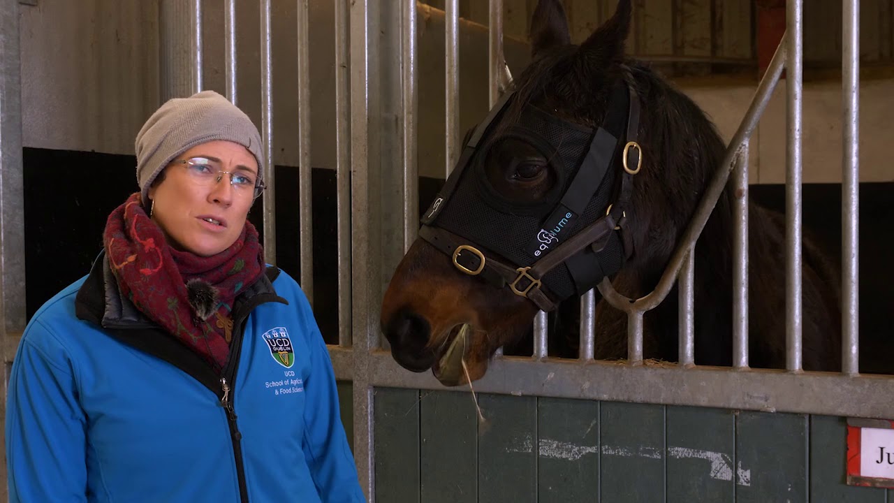 Animal Science Equine - AgriAware Farm Walk and Talk 2020 at UCD Lyons Farm with Dr. Barbara Murphy