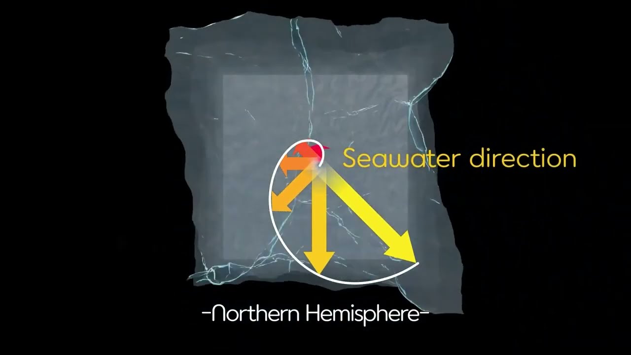 Movement of seawater caused by wind: Ekman transport