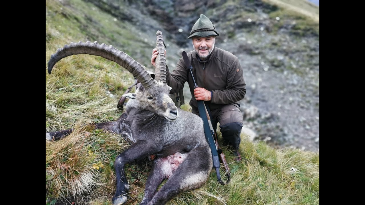 Steinbockjagd in Osttirol 2023