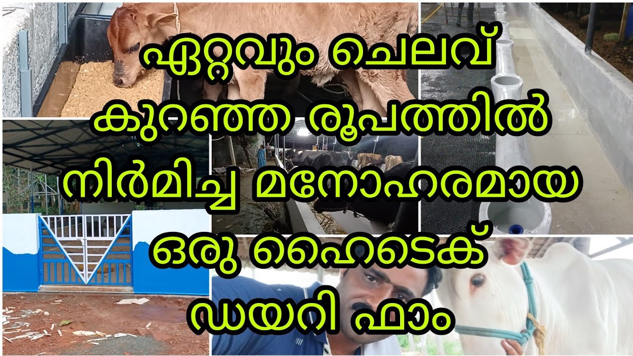 ഏറ്റവും ചെലവ് കുറഞ്ഞ രീതിയിൽ നിർമിച്ച മനോഹരമായൊരു ഹൈടെക് ഡയറി ഫാം.....