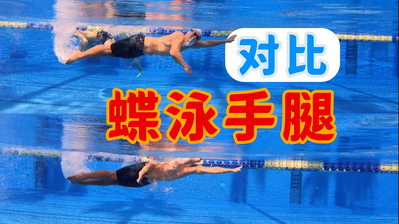 【游泳对比讲解】蝶泳手腿配合对比，有人居然看不出来，哼