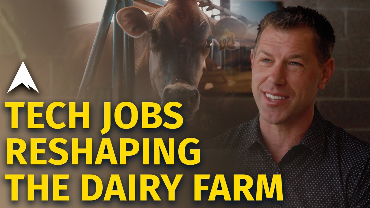 The Tech Creating New Jobs on the Dairy Farm from Shasta County, California