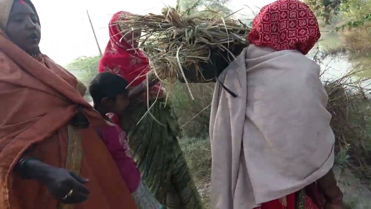 माड़व सराने 🙏वाली लाचारी गीत लक्ष्मीकांत🪴 कंचन चौहान लोकगीत, 🙏