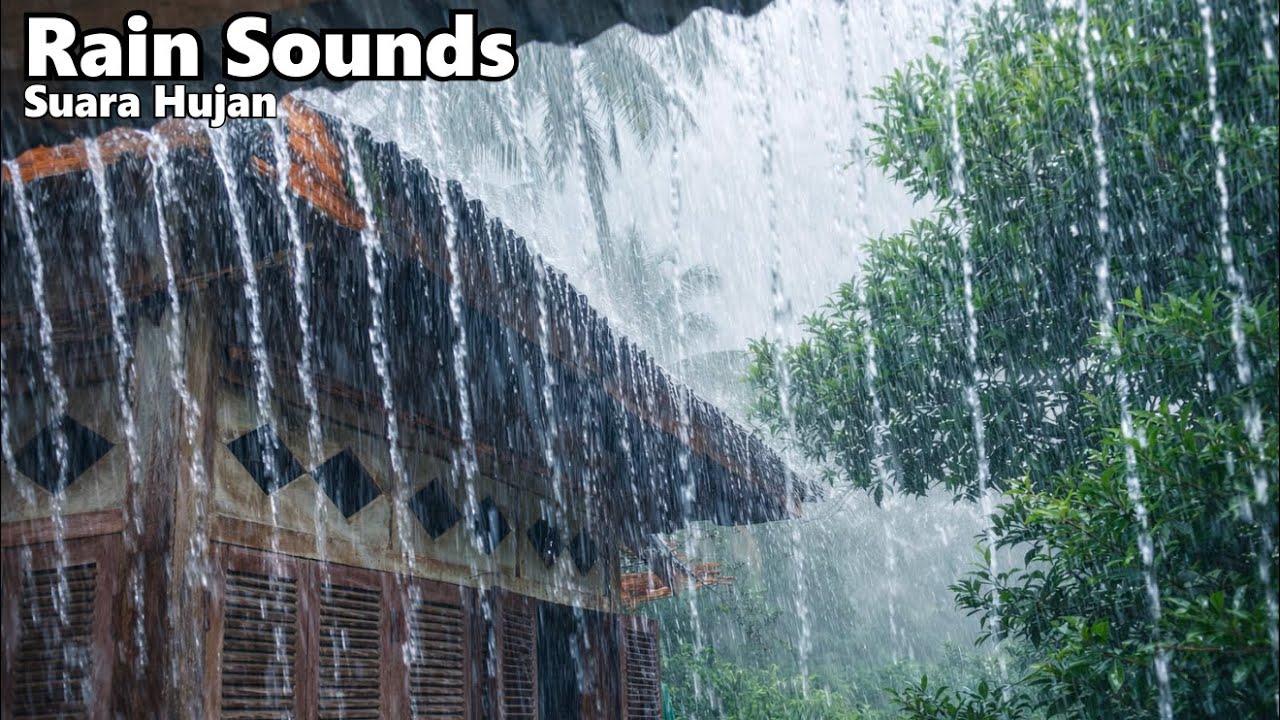 Rain Sounds for Mind Relaxation and Sound Sleep‼️Suara Hujan Untuk Relaksasi Fikiran