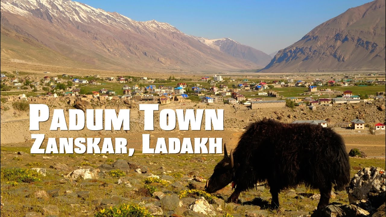 First time traveled to Padum town,  Zanskar, Ladakh