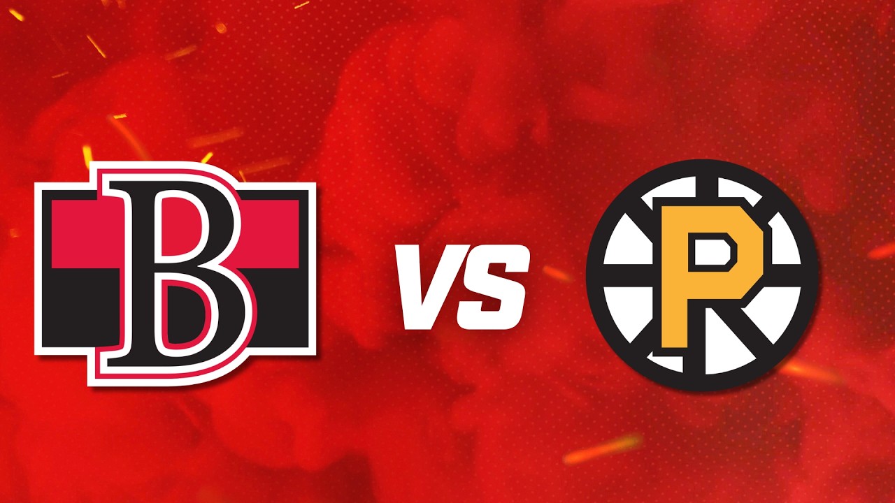Highlights - Belleville Senators vs Providence Bruins - February 20, 2026