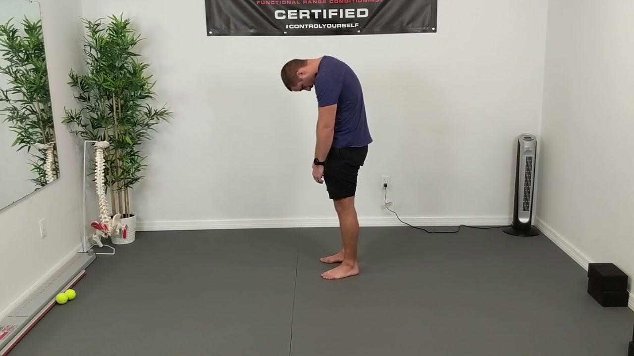 Standing Spine Segmentation CARs