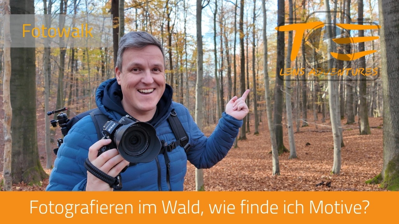 Im Herzen des Waldes. Bilder, die die verborgene Magie zeigen - der Herbst im Arnsberger Wald