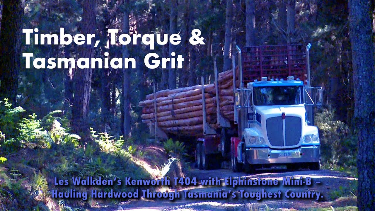 Logger Mini B T409 - Timber, Torque & Tasmanian Grit