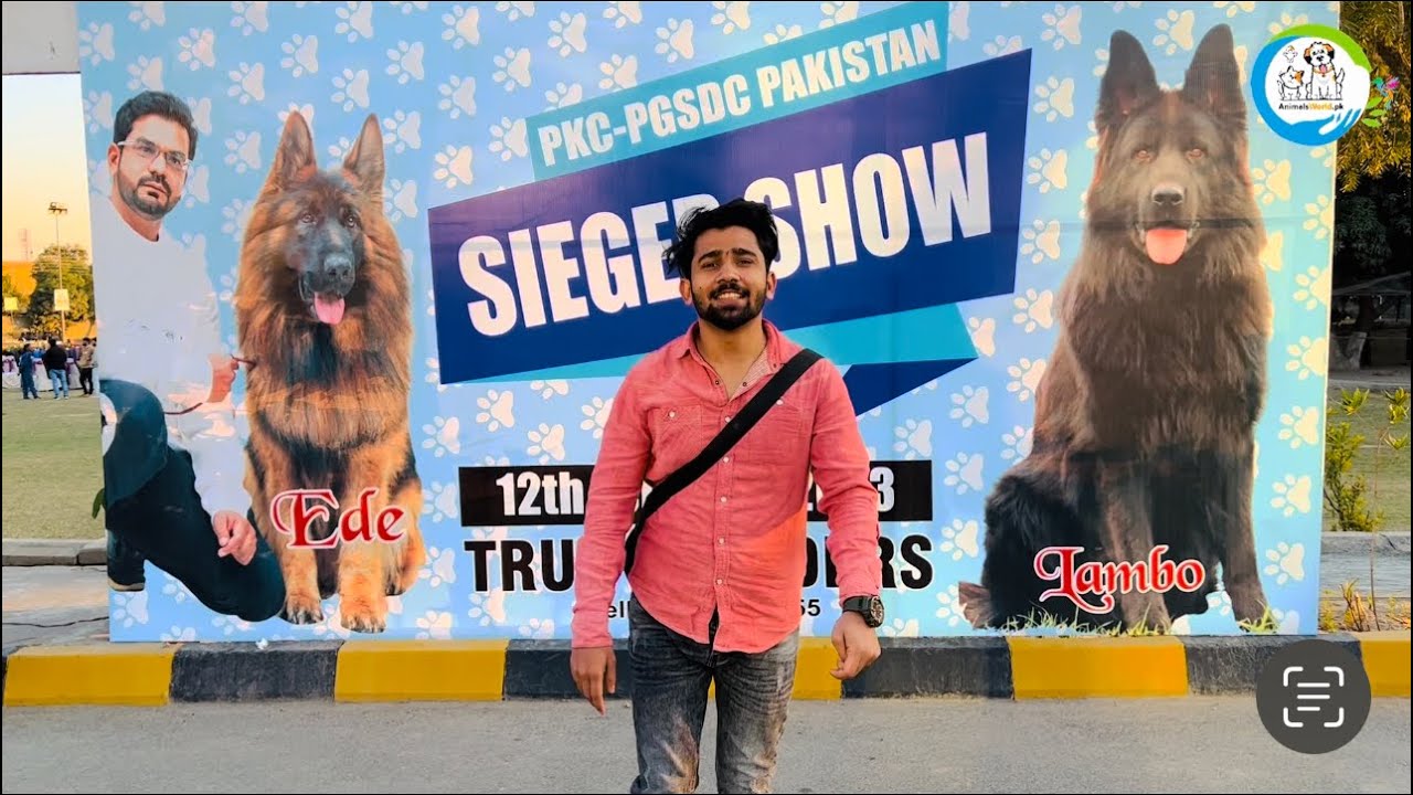 German Shepherd Show | Pakistan Number One Dog Show | GSD Dog Show | #GermanShepherd #DogShowLahore