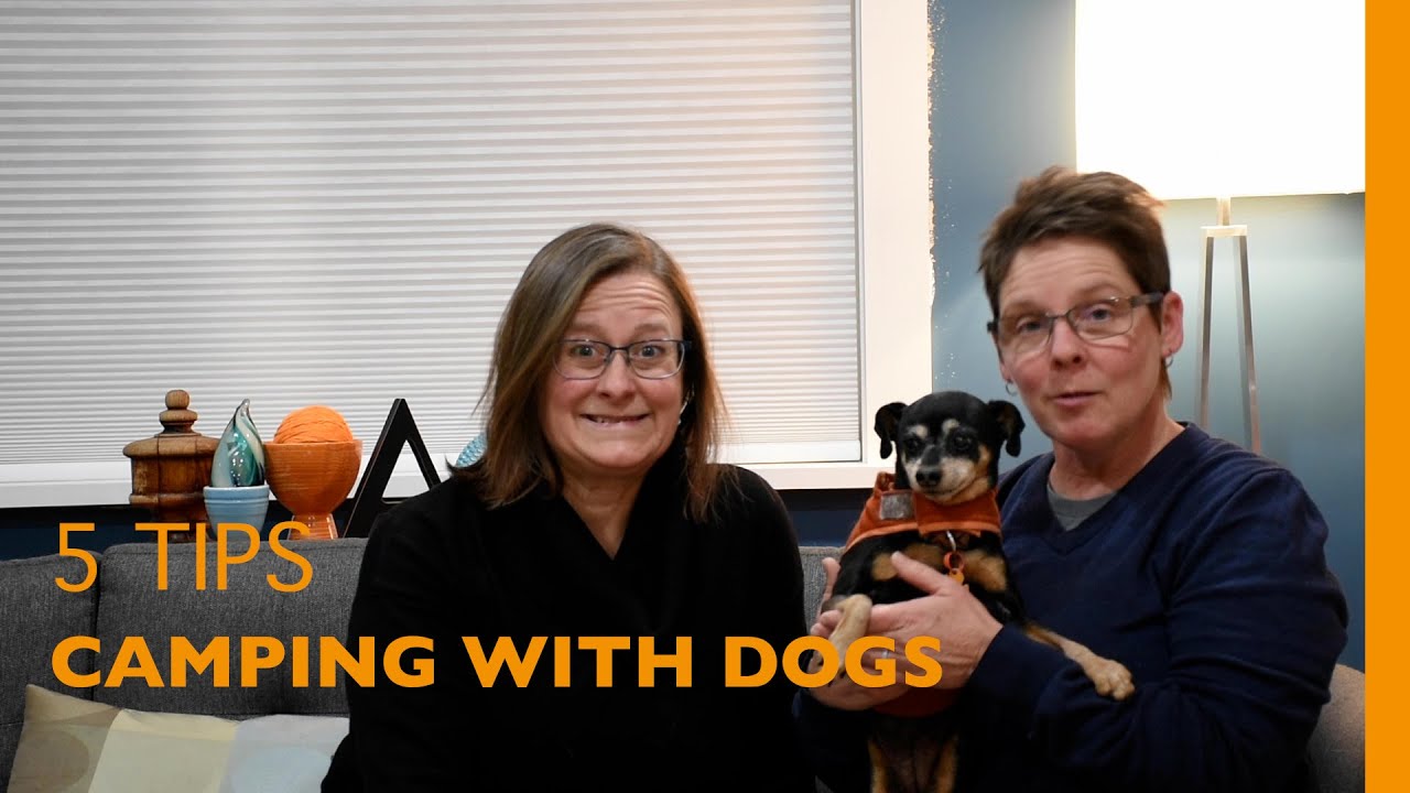5 Tips for Camping with Dogs in a Tiny Camper Trailer