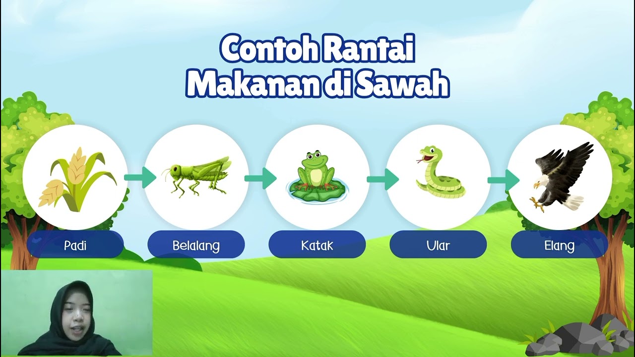 UAS MEDIA PEMBELAJARAN 