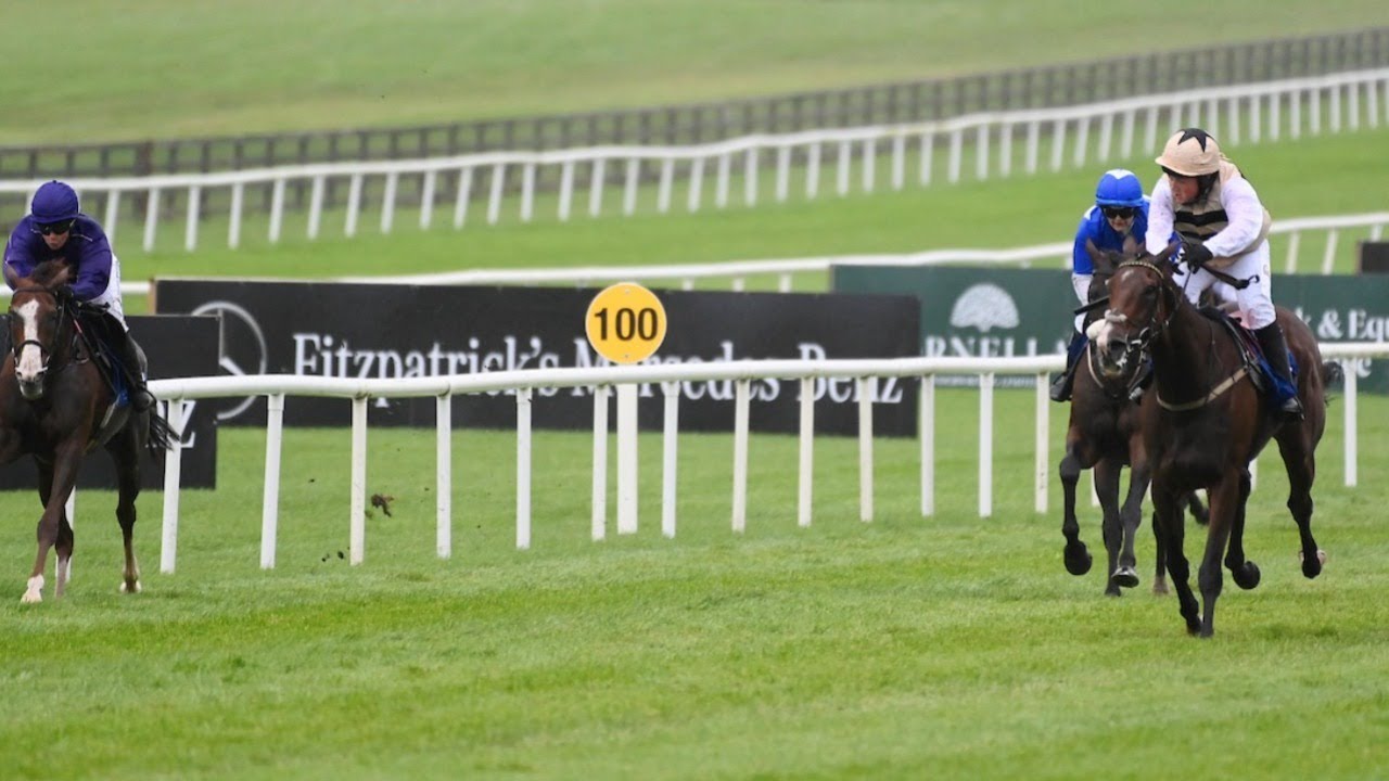 Oh no! Jockey makes huge mistake & throws away victory in charity race