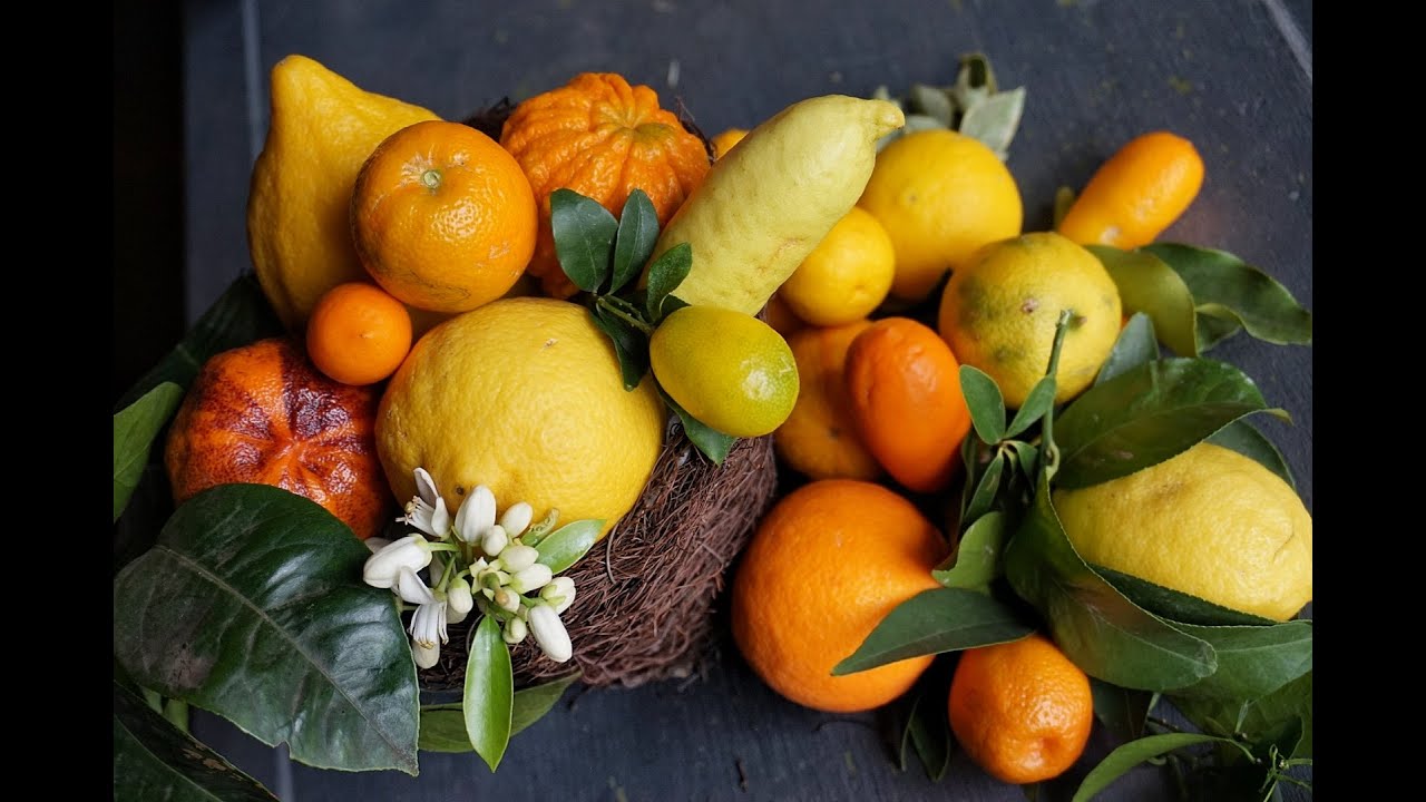 AGRUMI INSOLITI / INCREDIBLE CITRUS - AGRUMI LENZI
