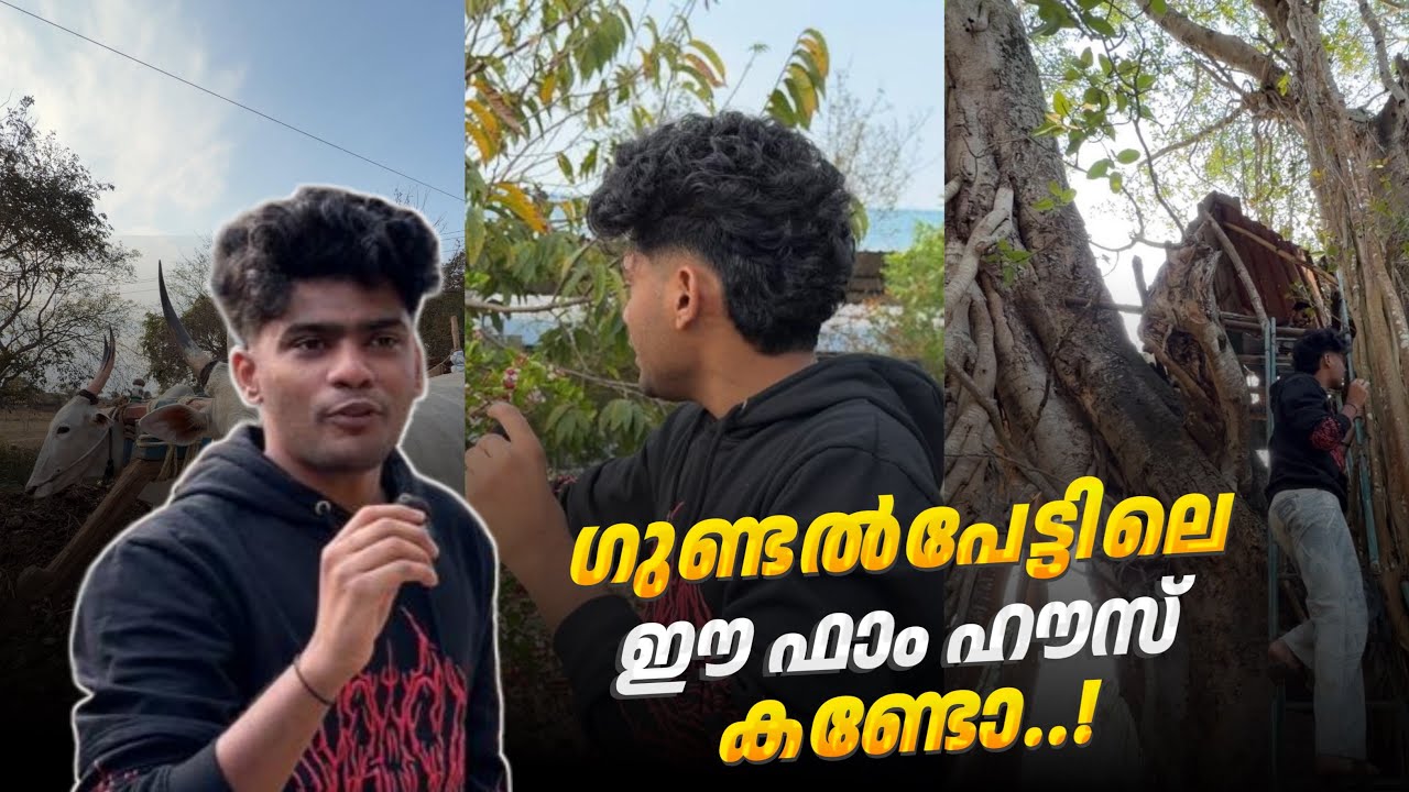 ഗുണ്ടൽപേട്ടിൽ ഗ്രാമത്തിൽ പോയി സവാള 🧅കൃഷി തുടങ്ങിയാലോ?