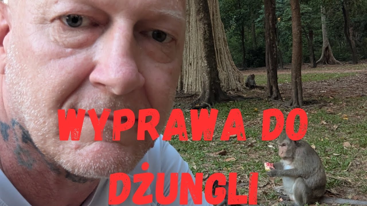 50.Kambodża spotkanie z dzikimi małpkami.#emigracja#azjapodr&oacute;że