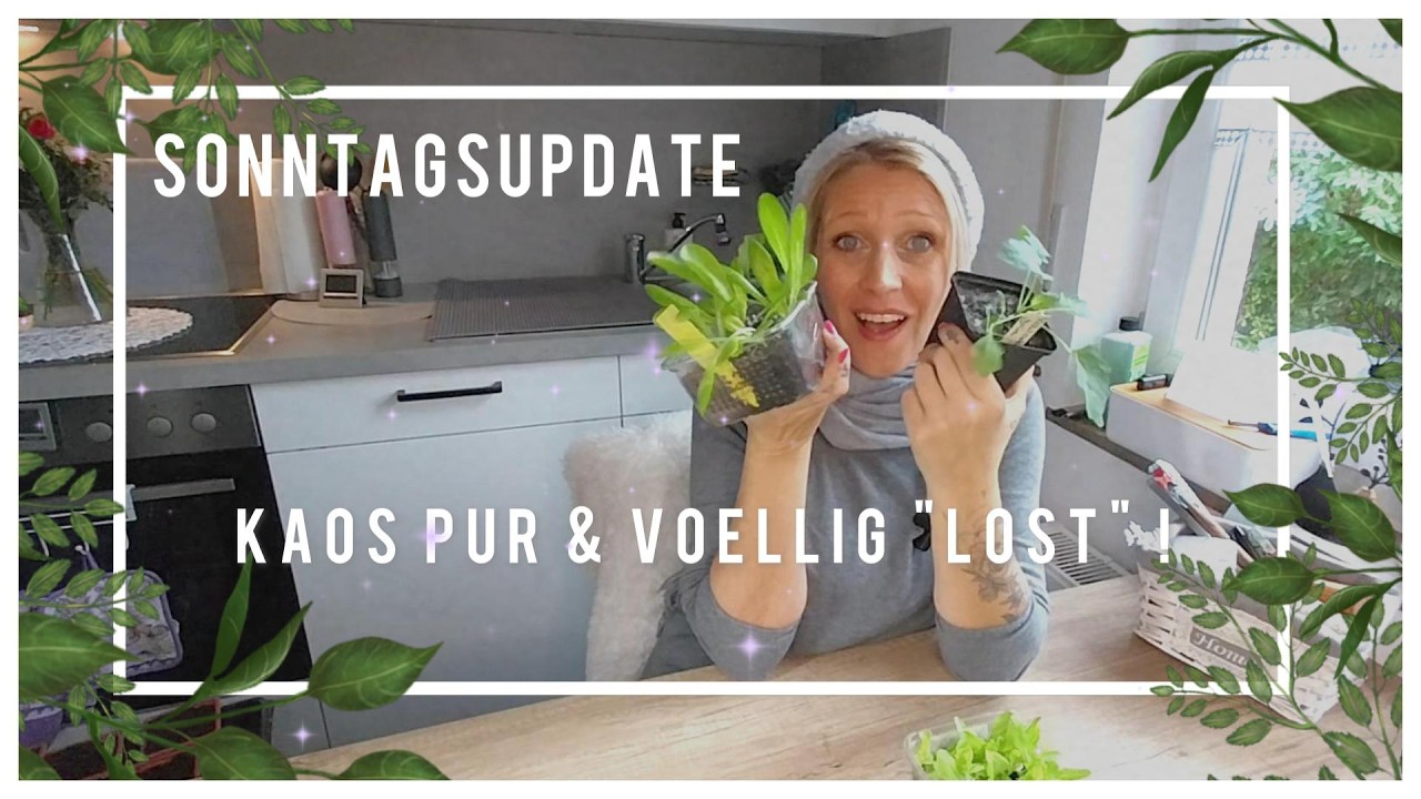 Sonntagsupdate - Kaos pur und völlig Lost!