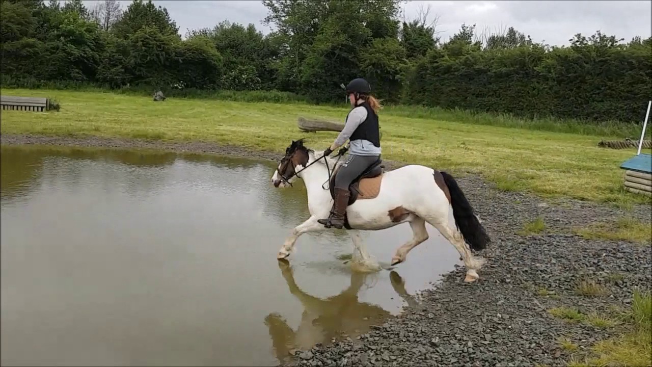 JUMP WITH ME - Archie's 1st ever XC schooling!! (GoPro HeadCam & Raw)