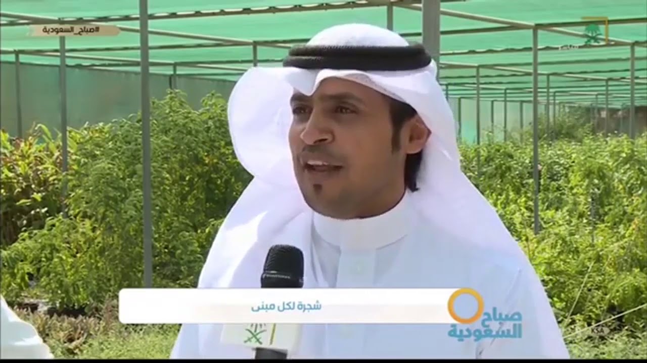شجرة لكل مبنى من الرياض