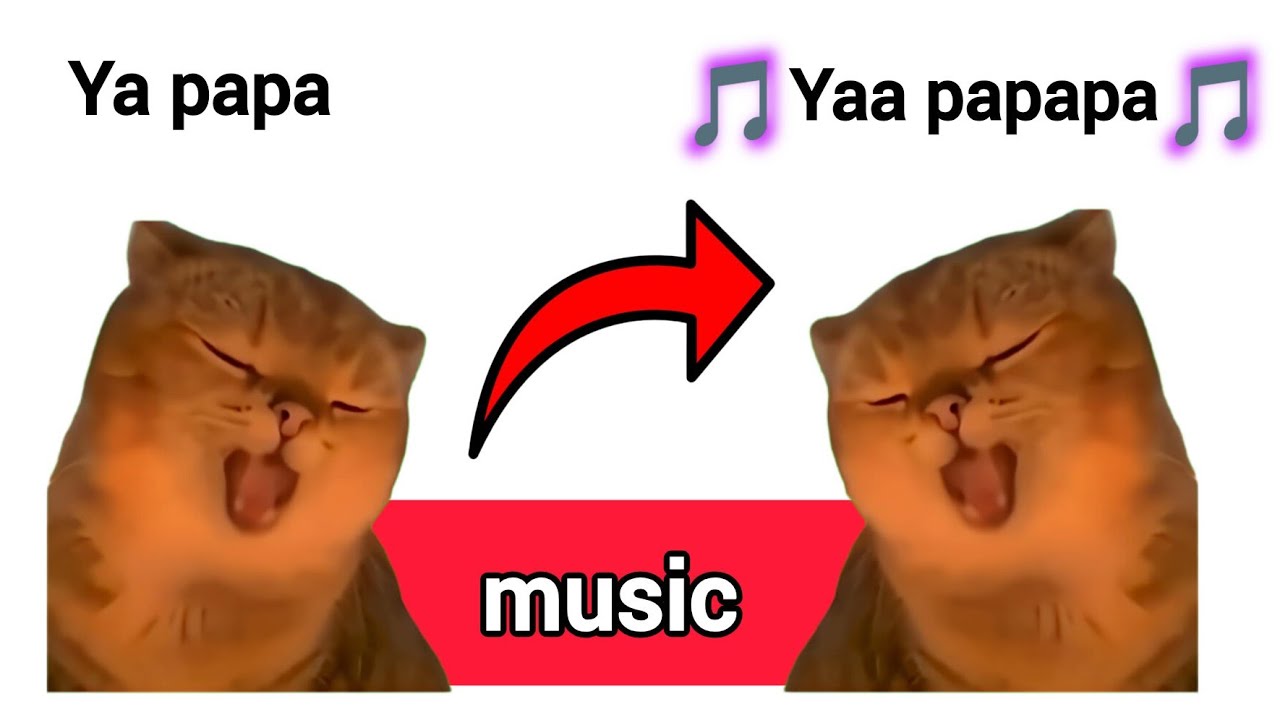 Famous Cat Memes 😺 - Normal vs Music version 🎵