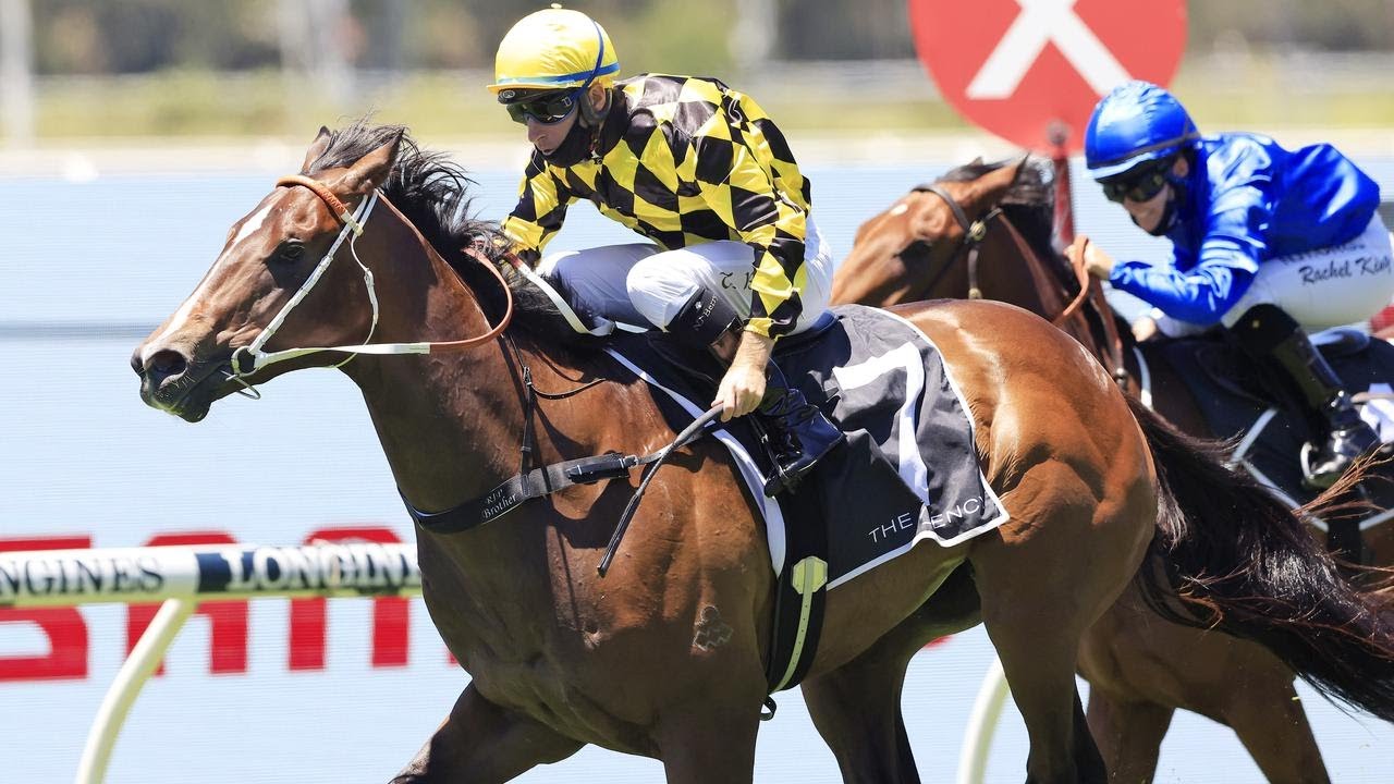 Live Horse Racing Stream FREE!!