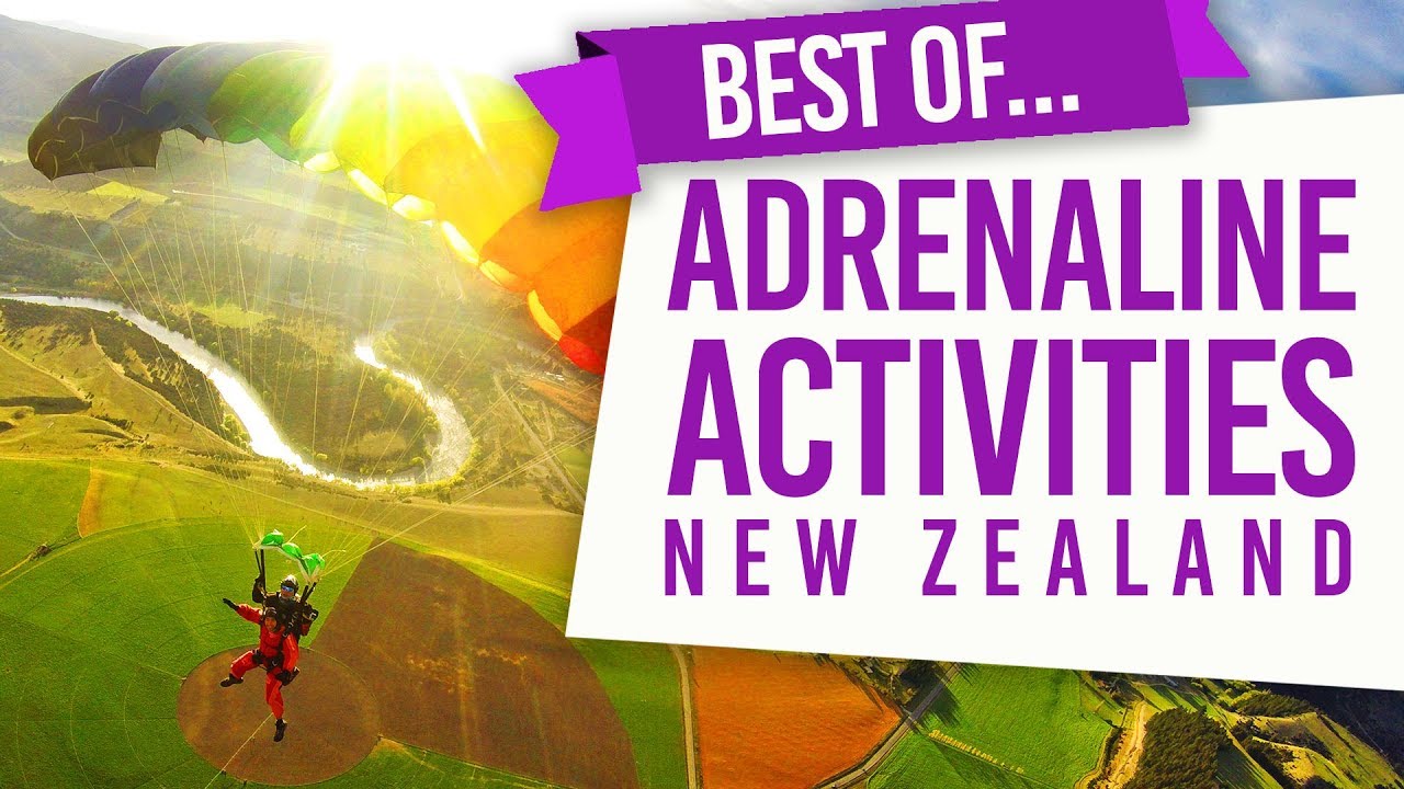 🪂 The Best Adrenaline Activities in New Zealand