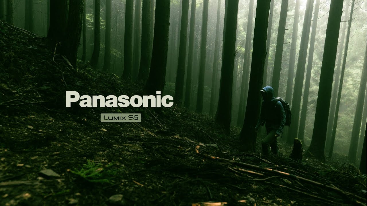 千ヶ峰 Hyogo Japan  |  Panasonic LUMIX S5  | LUMIX S 20-60mm F3.5-5.6 | 4K 10bit  |  Sample Footage