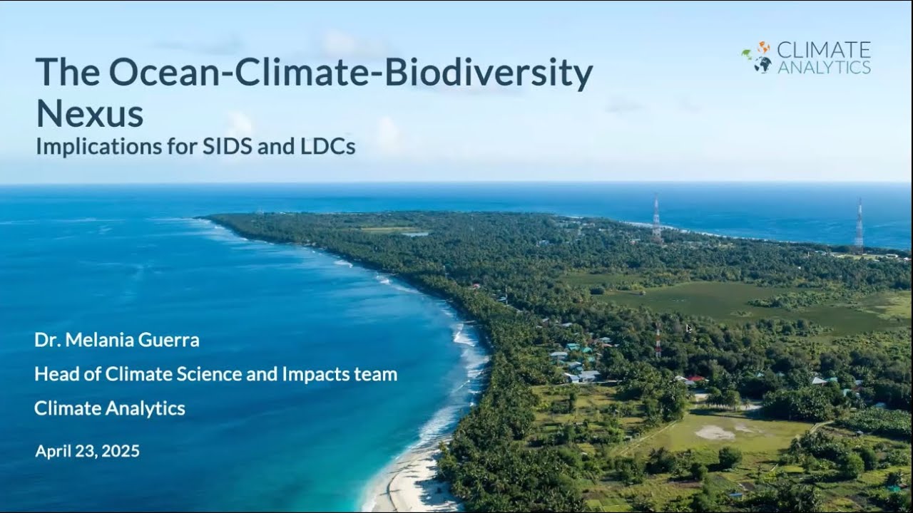 Webinar: the oceans, climate biodiversity nexus: implications for SIDS and LDCs