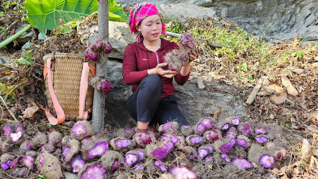 2 years of building a life: Harvest Bitter Melon, Bananas, Ginger, Yam, Vegetables market to sell.