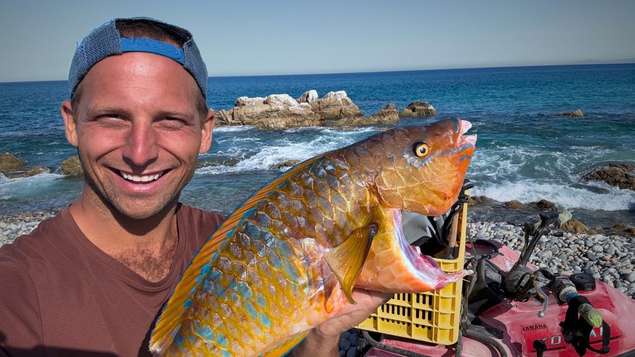 Spearfishing for Parrot Fish, Cooking Over Fire & Sharing with Pets | Baja Catch & Cook
