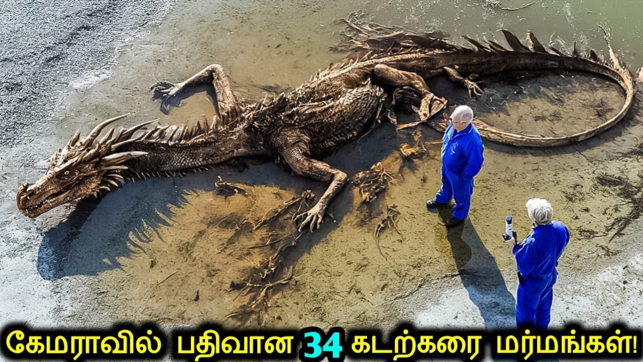 கேமராவில் பதிவான 34 கடற்கரை மர்மங்கள்! | Mysterious Sea Creatures Caught On Camera | Tamil Ultimate