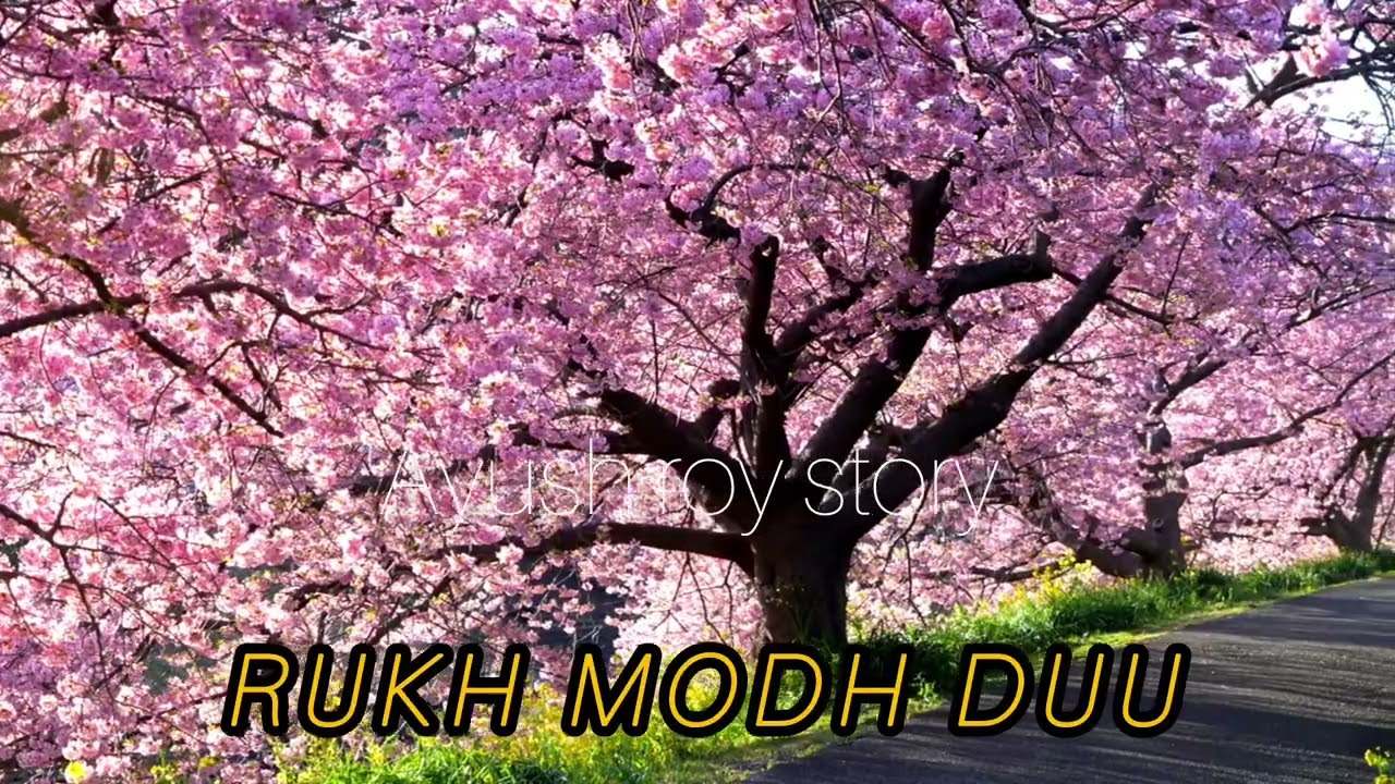RUKH MODH DUU ❤️ Love songs 